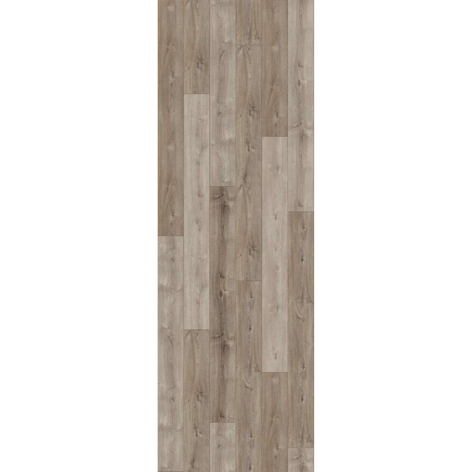 Parador Laminat Trendtime 6, 9mm, Eiche Valere gekälkt grau, wasserfest.