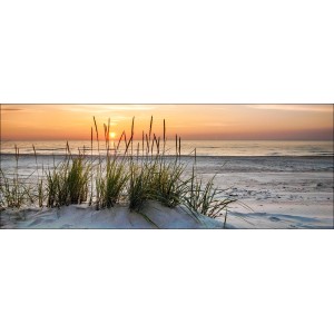 Glasbild Lonely Dune, 30x80 cm: Strandhafer in den Dünen bei Sonnenaufgang.