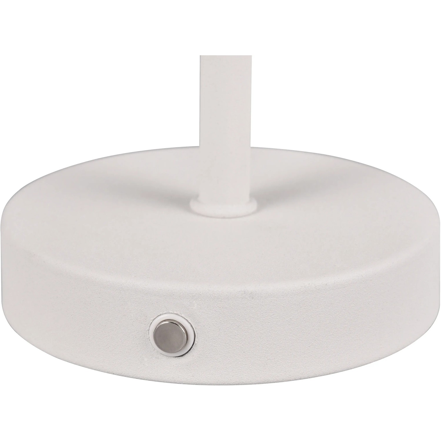 Paul-Neuhaus Q-PETER Staande lamp LED Antraciet 338-13 Paul-Neuhaus Q-PETER Staande lamp LED Antraciet 338-13
