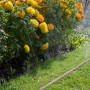 Gardena Schlauch-Regner bewässert Garten mit Blumen. Brauner Gartenschlauch, 15 m Länge.