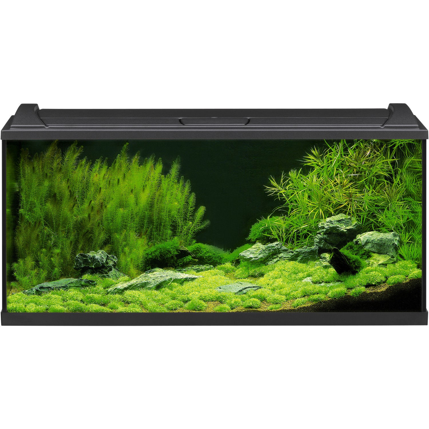 Eheim Aquarium-Set Aquapro LED 180 Schwarz 180 l
