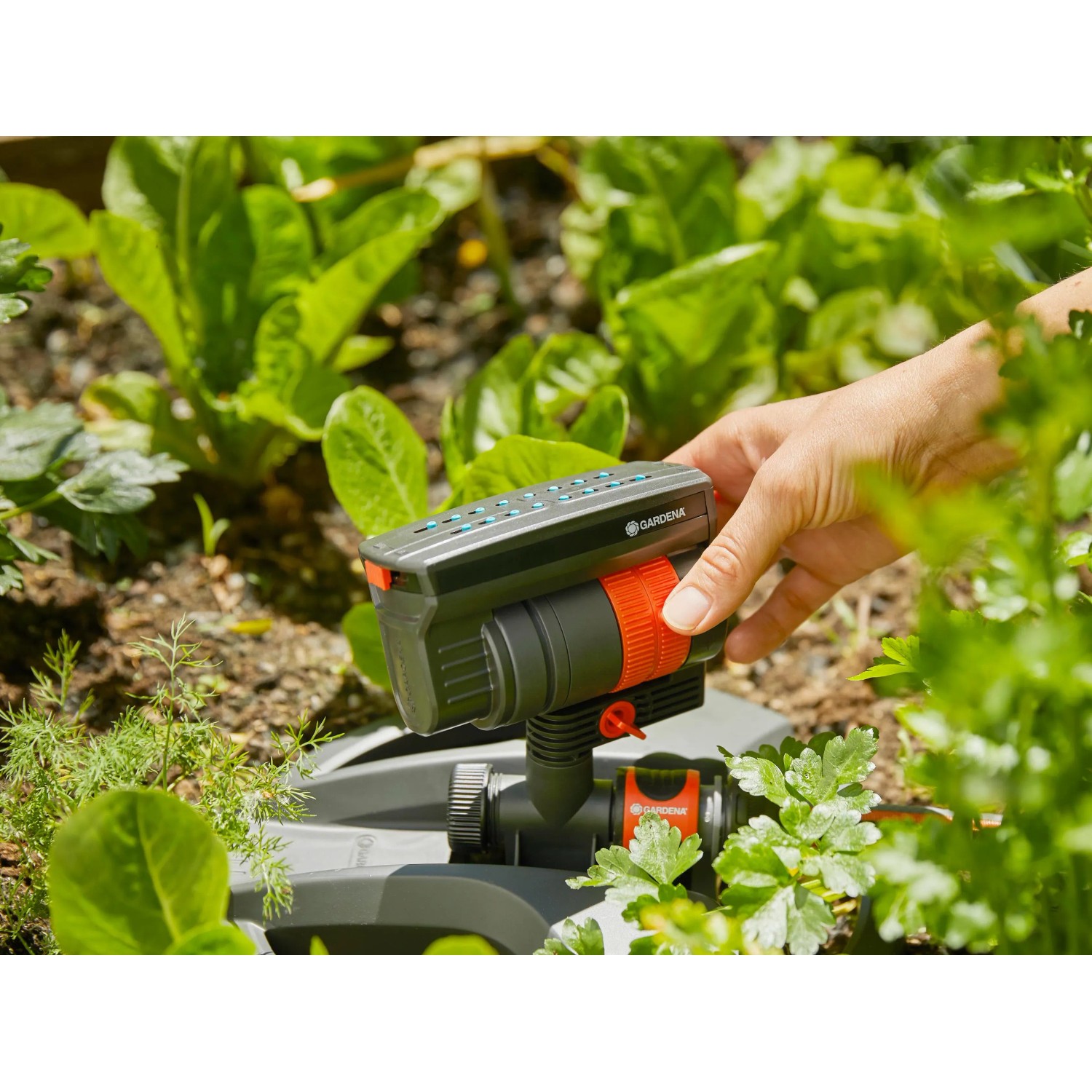 Gardena Aqua Zoom Compact Viereckregner 216 m² im Einsatz im Garten.
