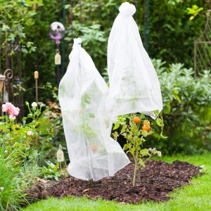 Windhager Tomaten-Vliesschlauch schützt Tomatenpflanzen im Garten vor Kälte und Schädlingen.