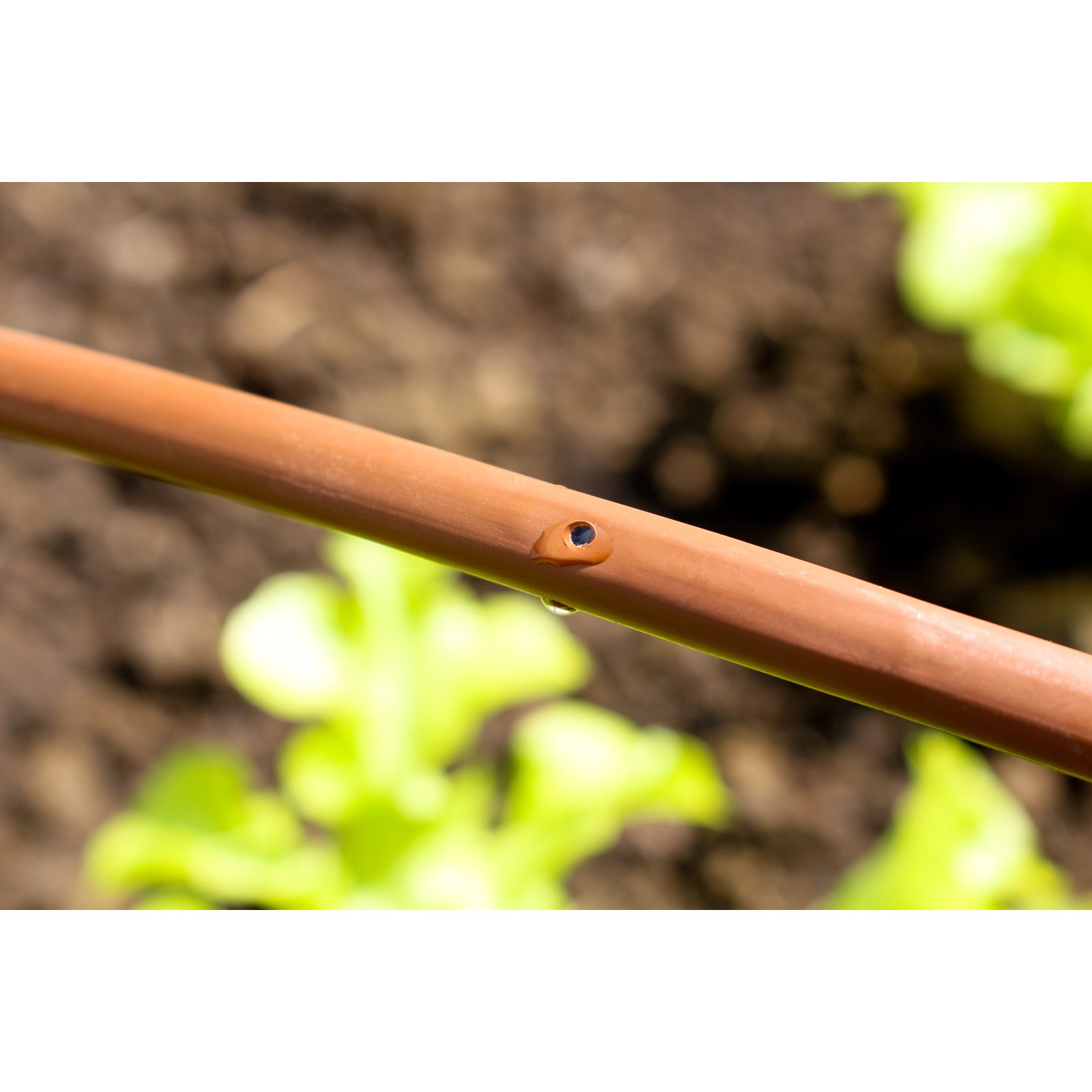 Detailaufnahme: Brauner Tropfschlauch des Vitavia Calypso Gewächshaus Bewässerungssets.