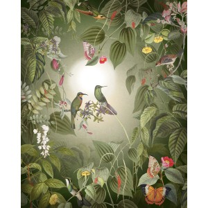 Komar Vliestapete Wildlife Birds, 200x250cm, mit Vögeln, Schmetterlingen und Pflanzen.