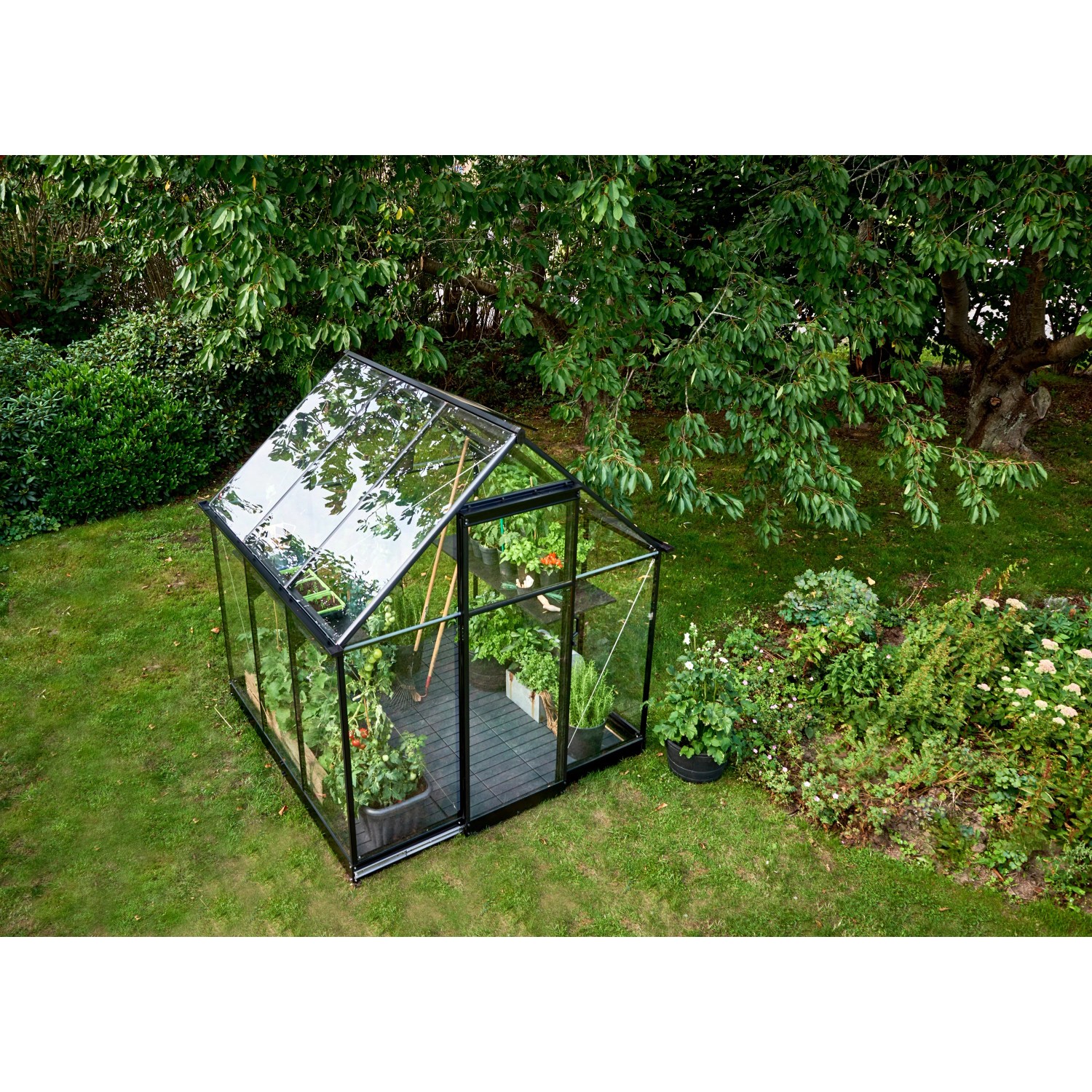 Halls Gewächshaus Qube 66, schwarzer Rahmen, Glas, mit Pflanzen im Garten.
