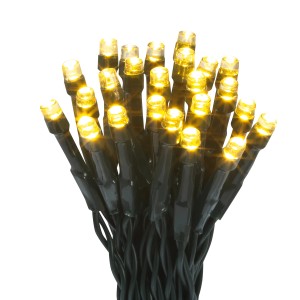 LED-Lichterkette mit 24 warmweißen LEDs und grünem Kabel für den Außenbereich.