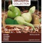Buzzy Ornamental Kalebasse Birdhouse bottle SamenCa. 2.5 grGeeignet für den Bau von Vogelhäusern