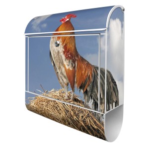 Banjado Design Briefkasten Weiß Pulverbeschichtet 39x47x14cm 2 Schlüssel Mit Zeitungsfach Motiv Hahn