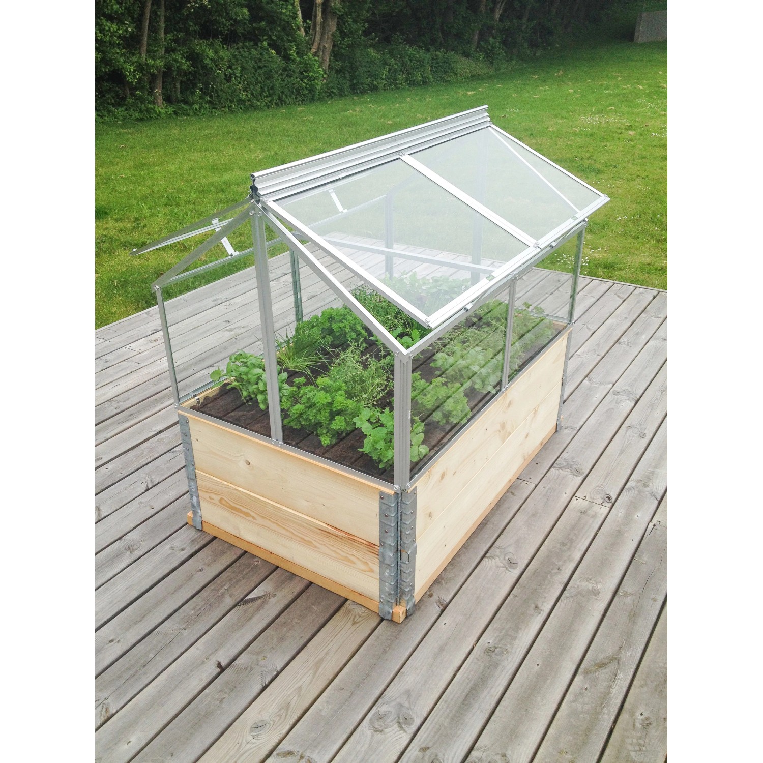 Vitavia Frühbeet Gaia Jumbo mit Alu-Rahmen und ESG-Verglasung, auf Holzpalette mit Pflanzen.