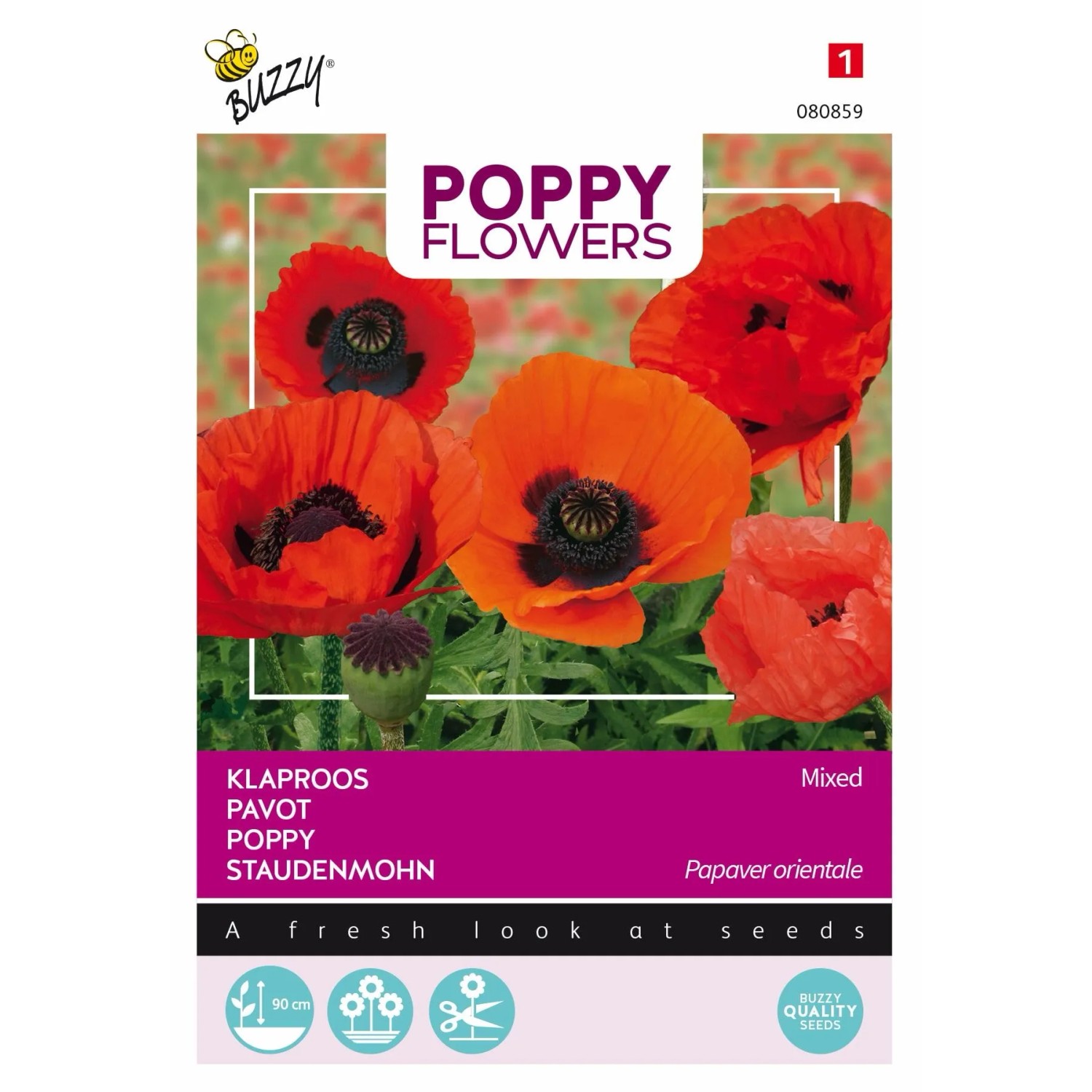 Orientalischer Mohn Buzzy Poppy Flowers Samen Ca. 0,15 g Bunte Blüten