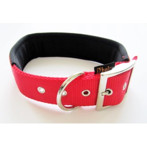 Rotes Heim Hundehalsband (45cm) mit weichem Neoprenfutter und Metallschnalle.