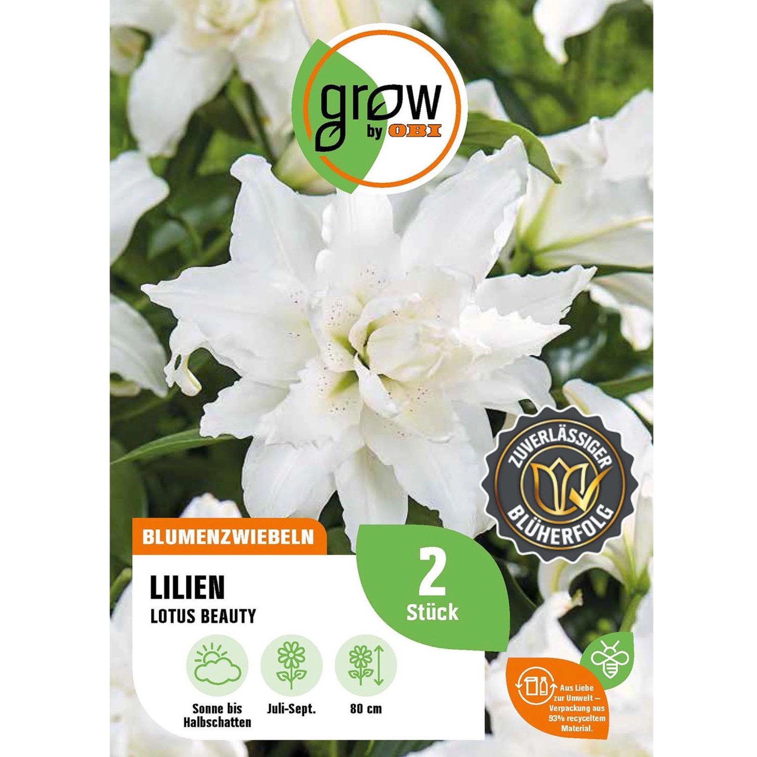 GROW by OBI Lilie Oriental Lotus Beauty Höhe ca. 80 cm Lilium oriental günstig online kaufen