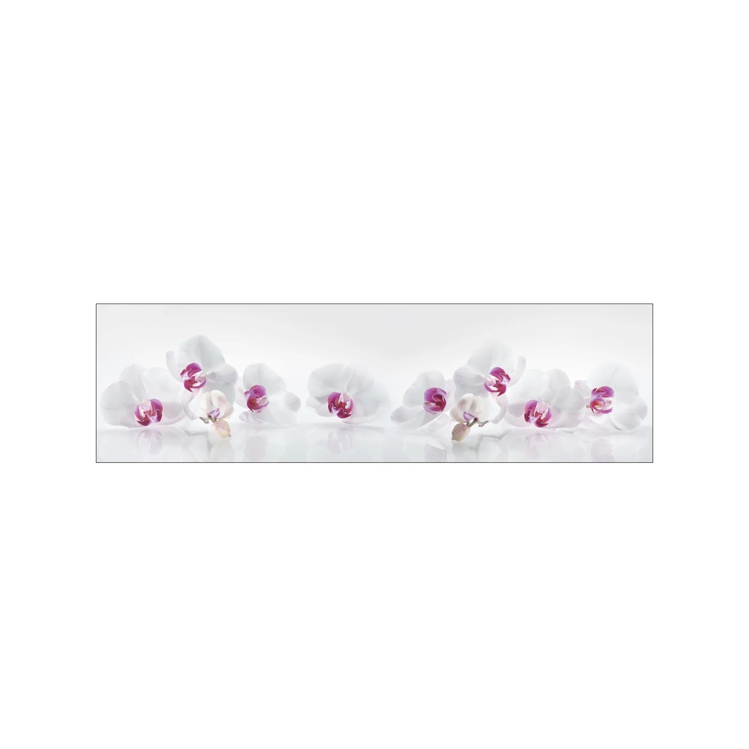 MySpotti Küchenrückwand Profix Cucina Orchidee 210 x 60 cm Lila-Weiß