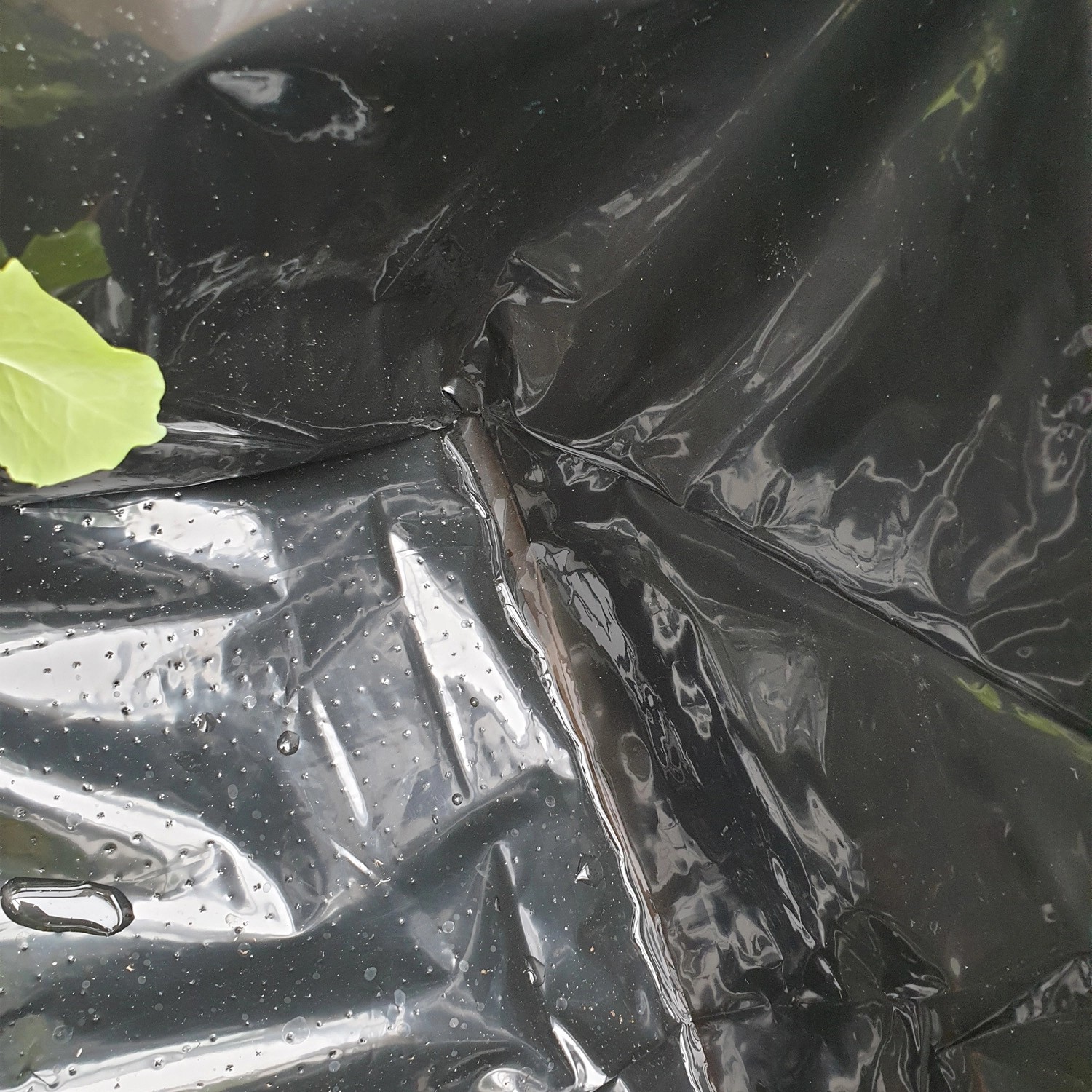 Detailaufnahme der perforierten Folie im Axi Hochbeet mit Gewächshaus.