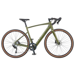 Prophete Gravel E-Bike Graveler 1.0, Herren, 28 Zoll, Grün Metallic Glanz.