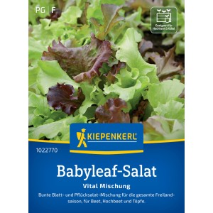 Kiepenkerl Babyleaf-Salat "Vital Mischung" Samen, bunte Blätter für Beet, Hochbeet und Topf.