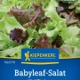 Kiepenkerl Babyleaf-Salat "Vital Mischung" Samen, bunte Blätter für Beet, Hochbeet und Topf.