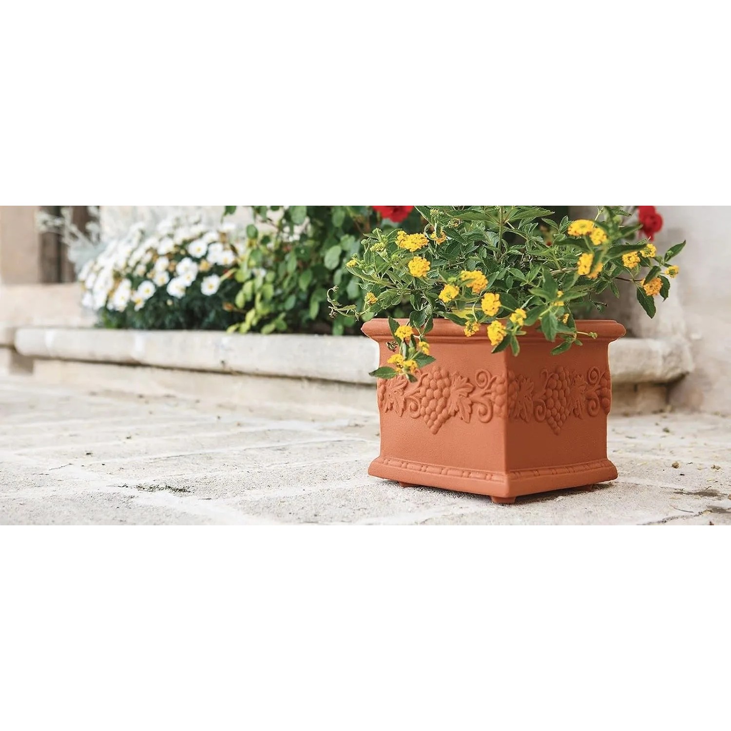 Quadratischer, terrakottafarbener Blumentopf Venedig mit mediterranem Dekor und gelben Blumen.