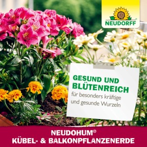 Neudorff NeudoHum Balkon- & Kübelpflanzenerde für gesundes Pflanzenwachstum und üppige Blüten.