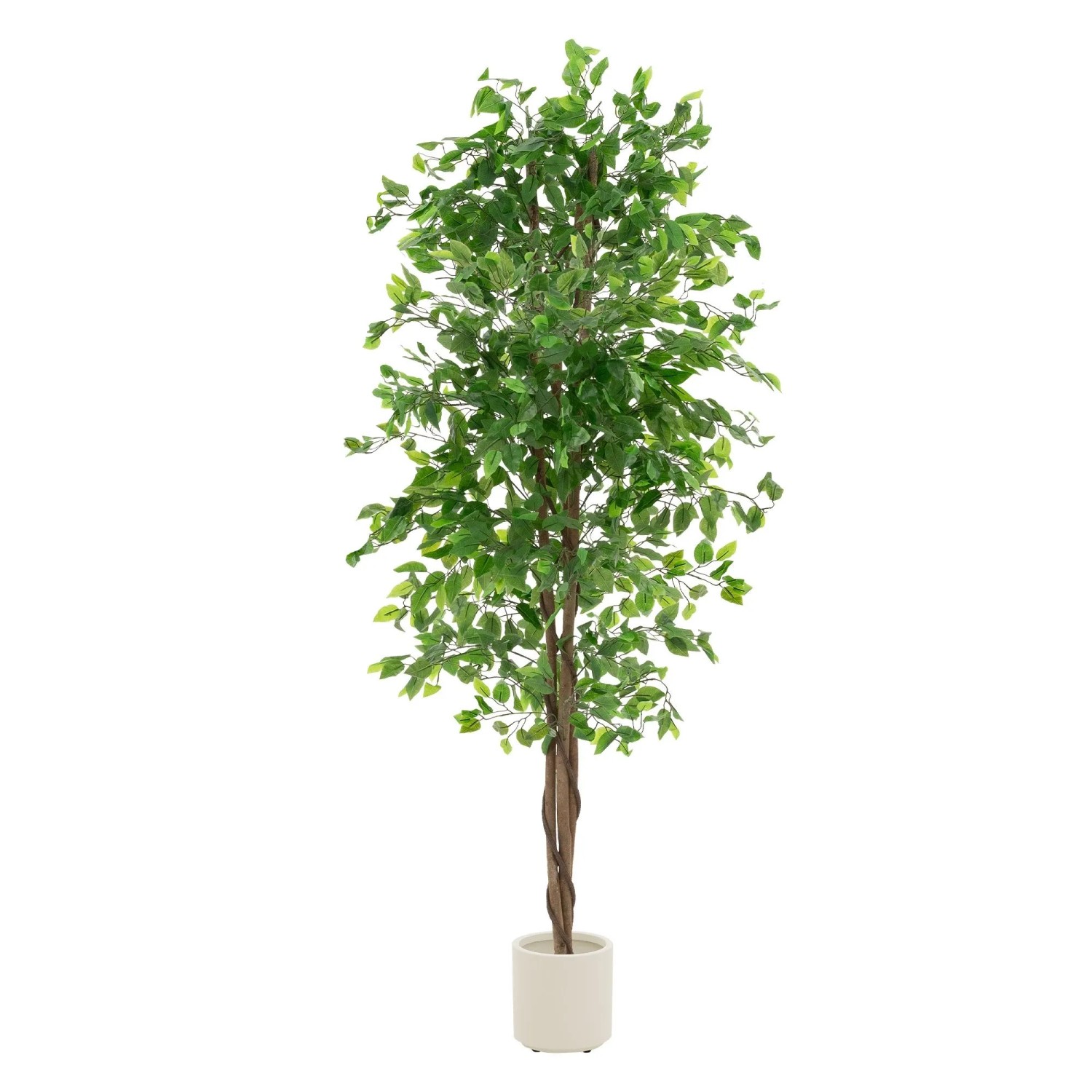 ML-Design Kunstpflanze Ficus 210 cm mit Naturholzstamm günstig online kaufen