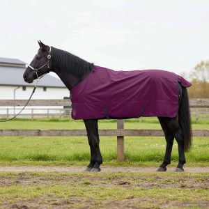 vidaXL Pferdedecke Dunkelgrün und Schwarz 75 cm Polyester 42013087