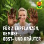Frau zeigt Hände mit Erde, Compo Bio Universal-Erde torffrei für Zier-, Gemüse-, Obst- und Kräuterpflanzen.