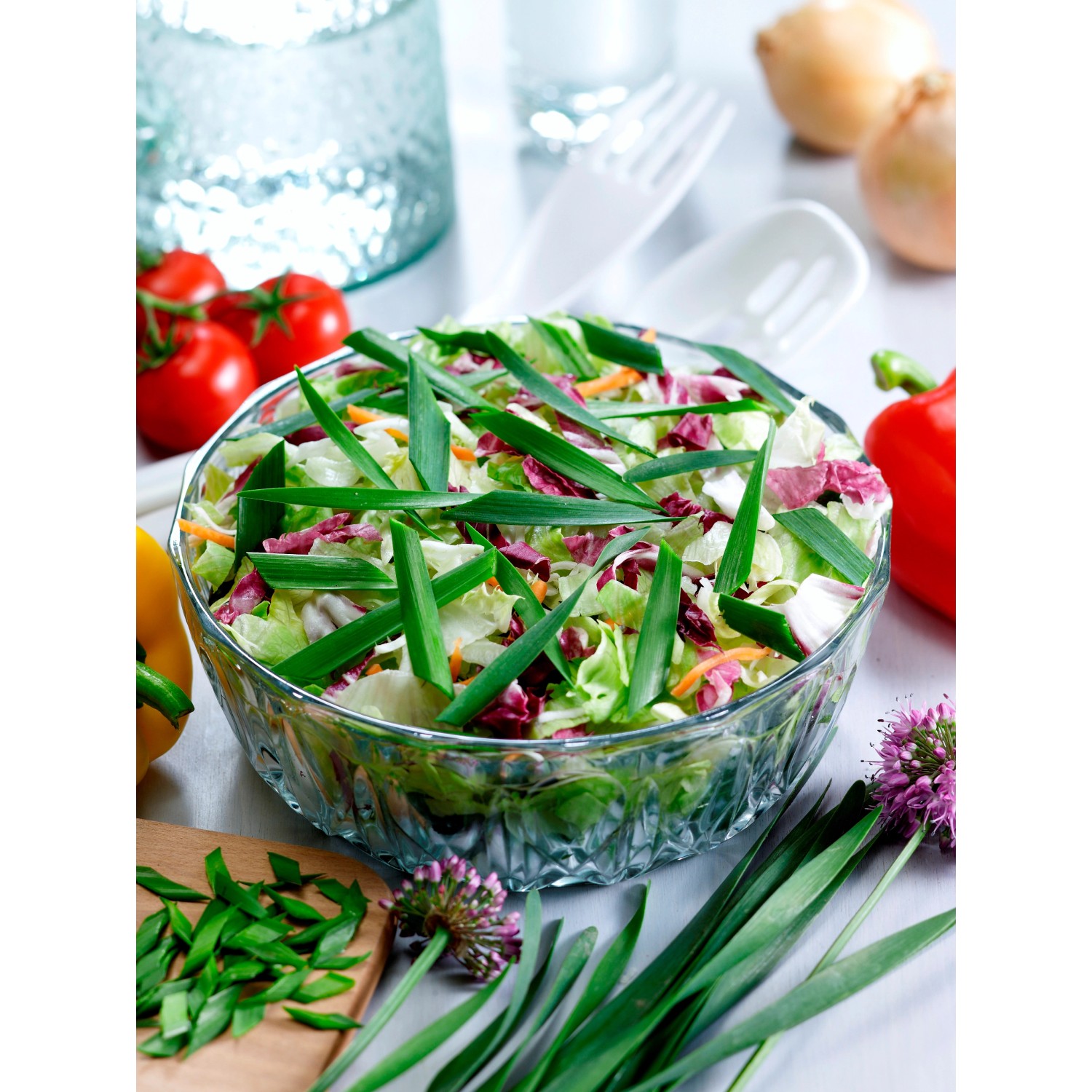 Salat mit Blu Garten-Knofi (Allium) im Topf, frische Kräuter als Zutat.