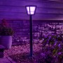 Philips Hue Econic LED-Wegeleuchte in Schwarz, Gartenbeleuchtung mit Farbwechsel.