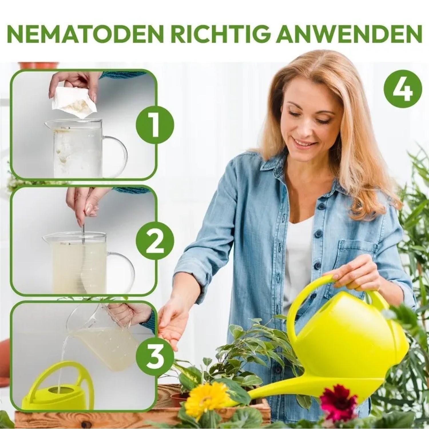 Anwendung von NemaTaurus SF Nematoden gegen Trauermücken und Thripse: Schritt-für-Schritt-Anleitung mit Gießkanne.