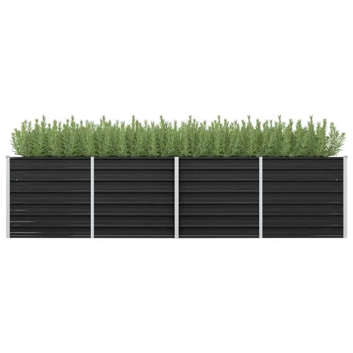 Anthrazitfarbenes vidaXL Garten-Hochbeet aus Stahl, bepflanzt mit Kräutern.