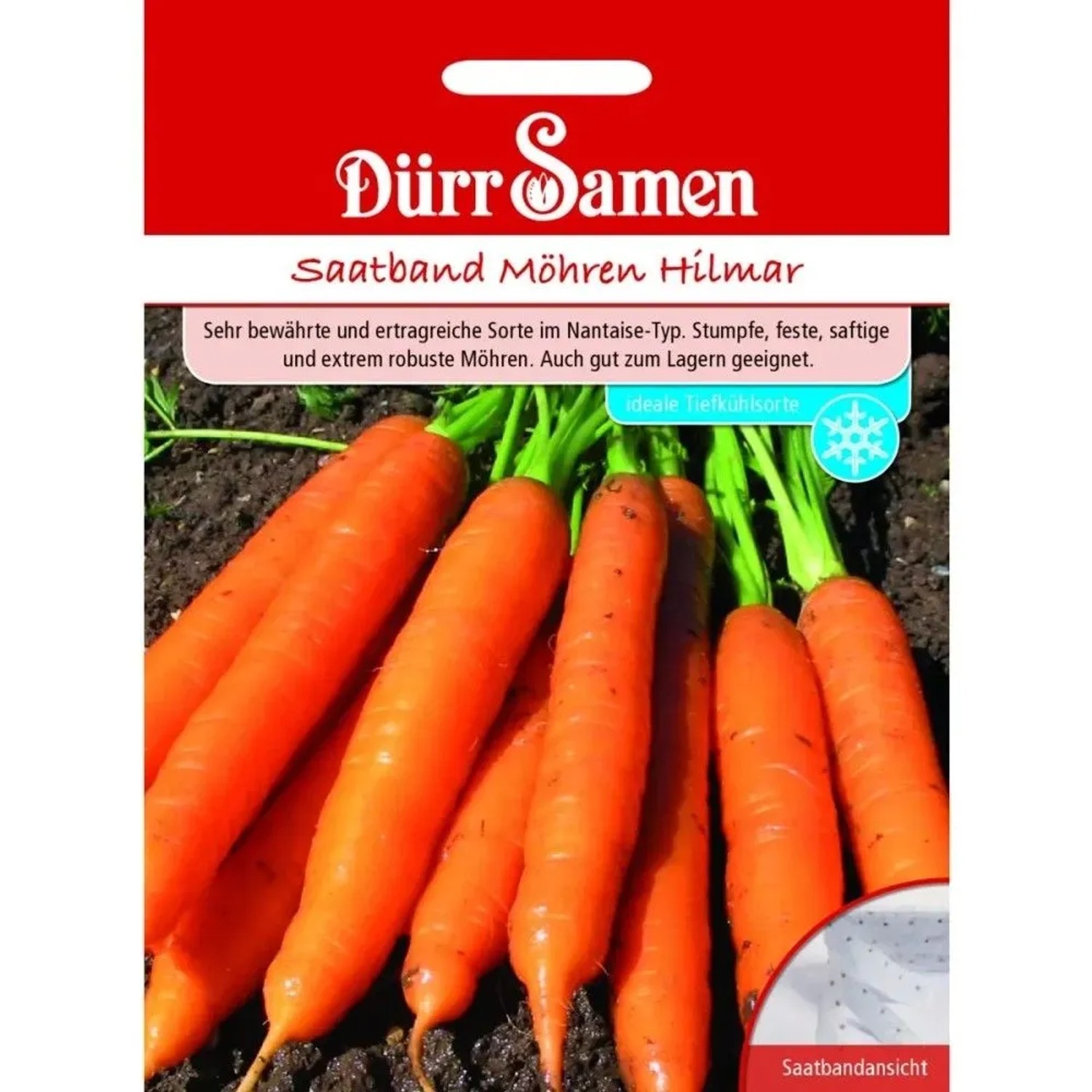 Dürr Samen Saatband Möhren Hilmar Saatgut