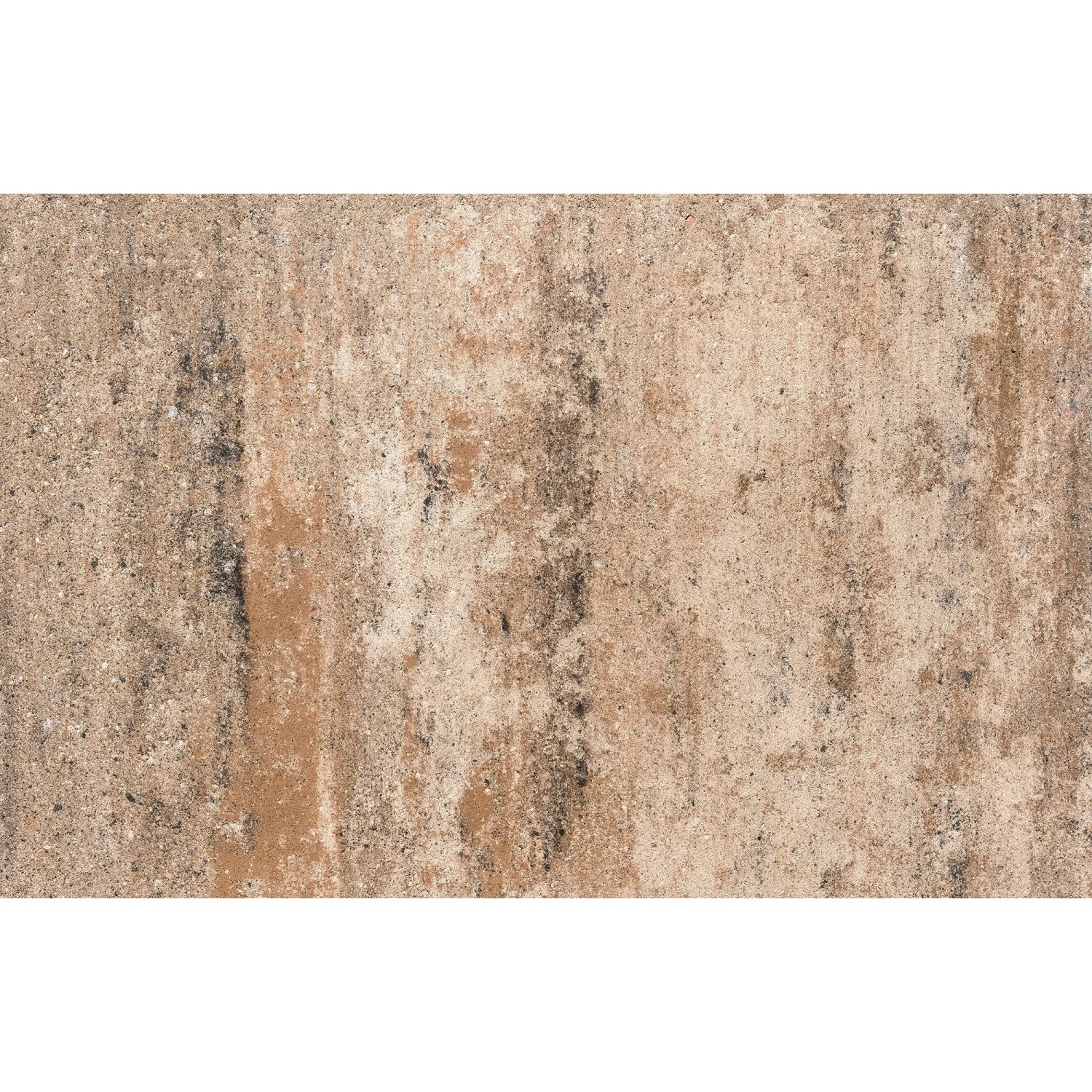 Diephaus Terrassenplatte Corso Muschelkalk, 60x30x4 cm, beige-braune Optik für Terrasse & Garten.
