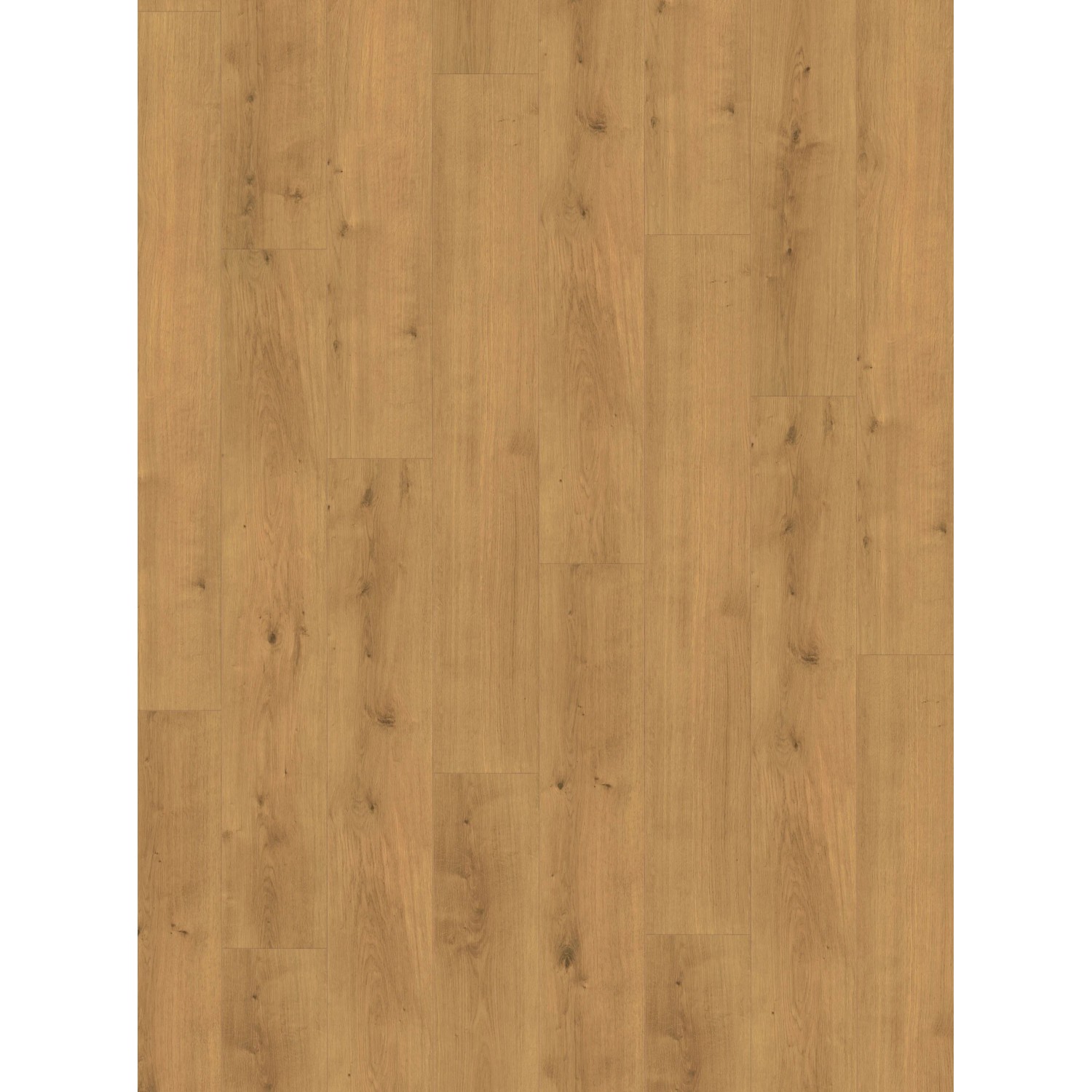 Parador Designboden Eiche Motion Natur Modular One Landhausdiele Gefast