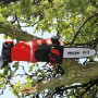 Einhell Akku-Hochentaster GE-HC 18 Li T Solo beim Schneiden eines Astes.