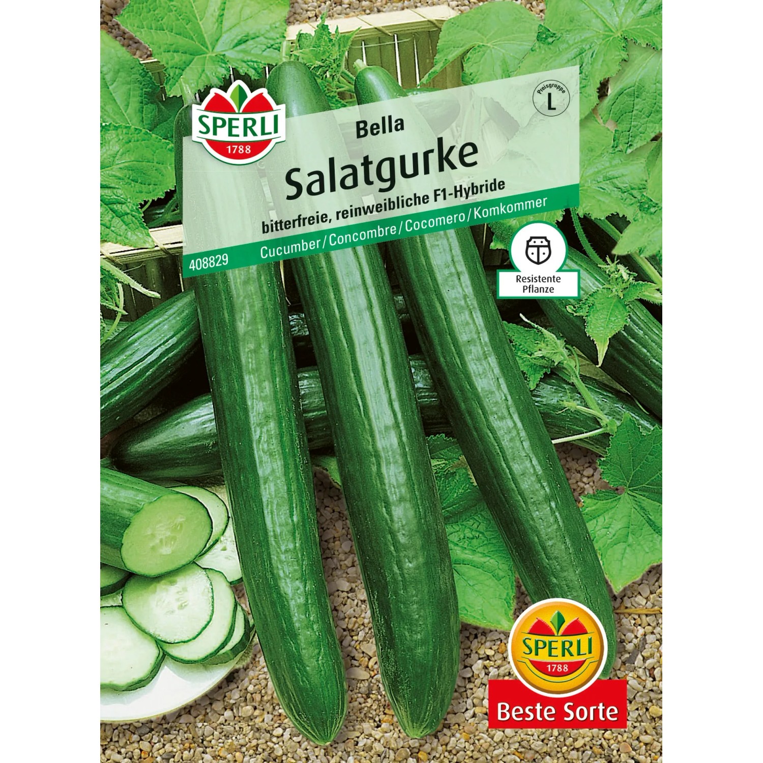 Sperli Salatgurken "Bella" F1-Hybride