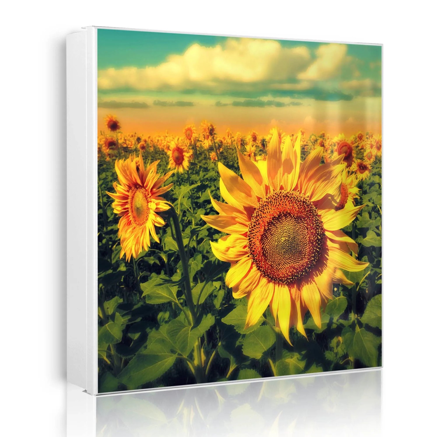 Banjado Großer Schlüsselkasten Metall 30x30cm Weiß Scharnier Links 50 Haken Beschreibbar Magnetisch Motiv Sonnenblumen