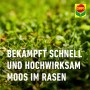 Compo Bio Rasen Moosfrei Herbistop: Detailaufnahme von Rasen mit Moosbefall.