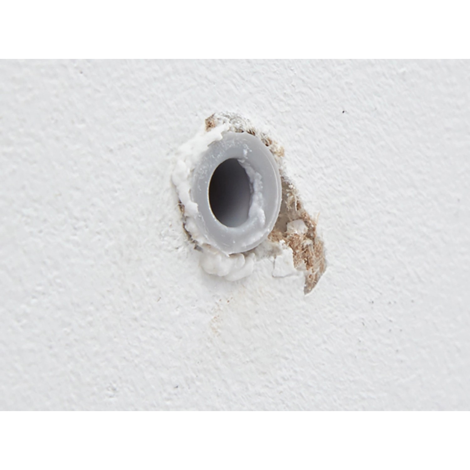 Detailaufnahme: Dübel mit fischer Bohrloch Retter Reparaturvlies in einer Wand.
