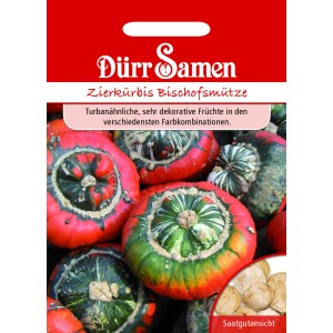 Dürr Samen Zierkürbis Bischofsmütze Saatgut mit turbanförmigen, farbenfrohen Kürbissen.