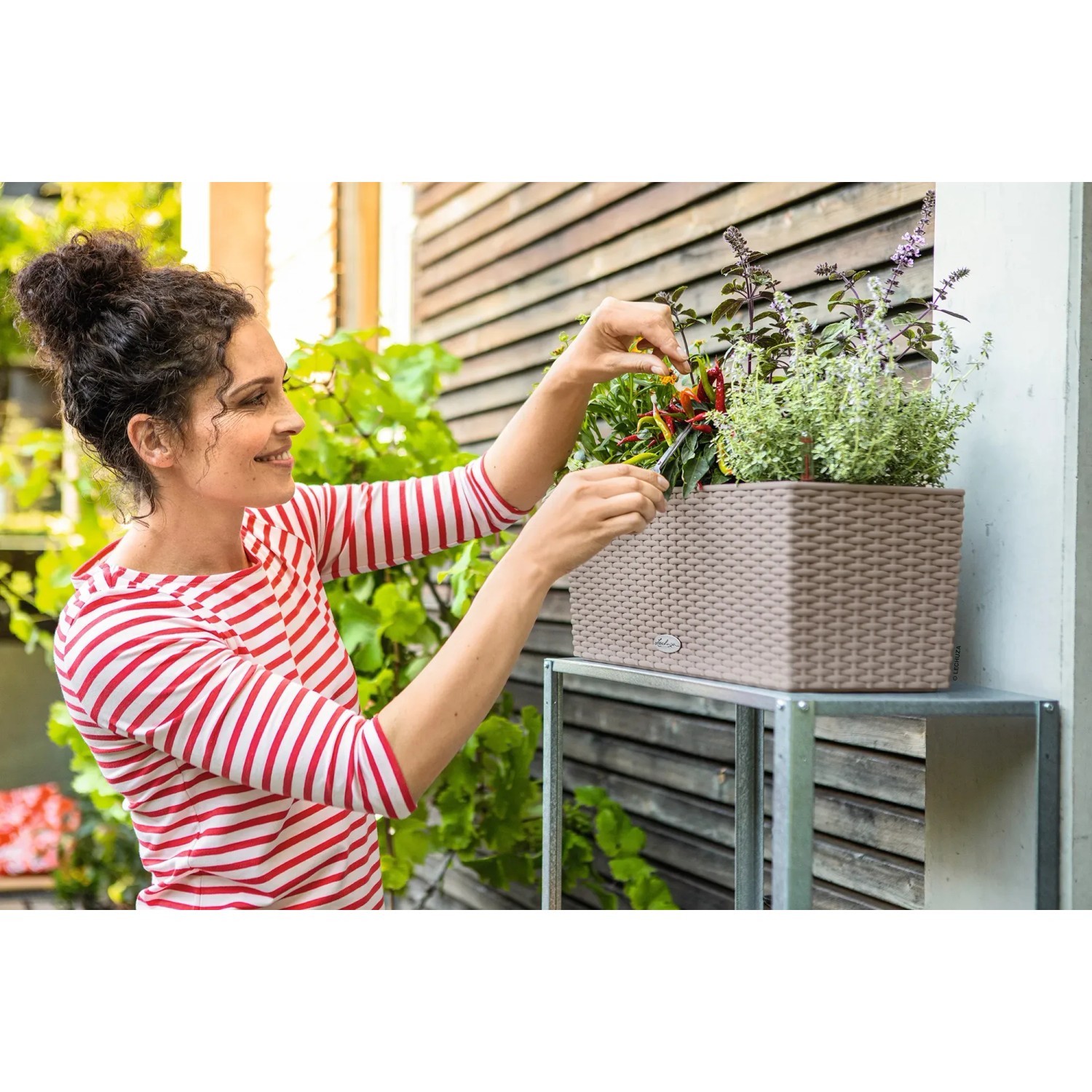 Frau bepflanzt Lechuza Balconera Cottage 50 Blumenkasten in Sandbraun.