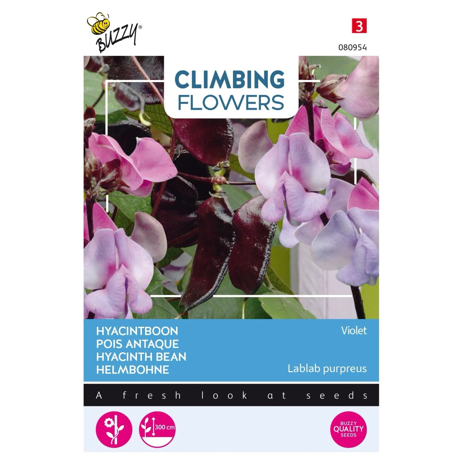 Helmbohne 'Violet' Buzzy Climbing Flowers Samen Ca. 3 g Kräftige Kletterpflanze