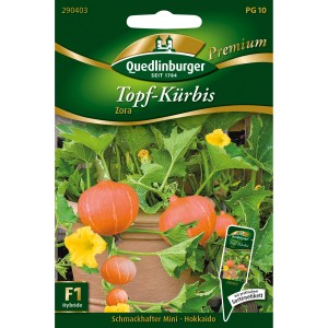 Quedlinburger Topf-Hokkaido Kürbis Zora Saatgut Packung mit Kürbissen, Blättern und gelben Blüten.