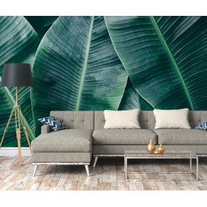 Fototapete mit grünen Palmenblättern, 3,50x2,55m, im Wohnzimmer hinter einer Couch.