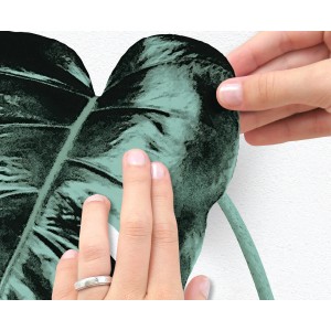 Anbringen des Komar Wandstickers Monstera Deliciosa (70x50cm) als Wanddeko.