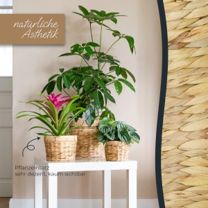 HMF 37280-19CM Innovativer Blumentopf Wasserhyazinthe Pflanztopf Rund 19 cm Durchmesser