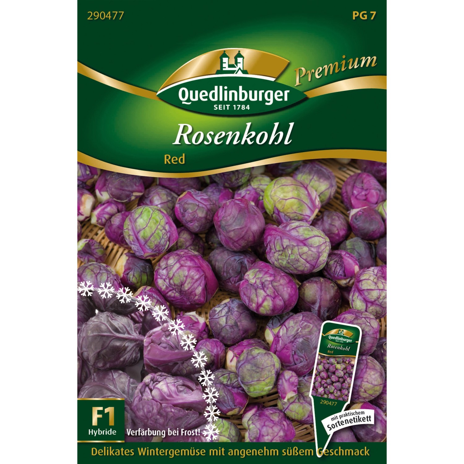 Quedlinburger Rosenkohl ''Red'' Violett günstig online kaufen