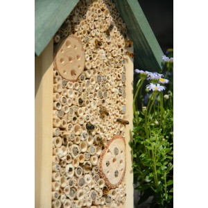 Insektenhotel aus Holz für Wildbienen und Grabwespen mit Bienen vor Blüten.