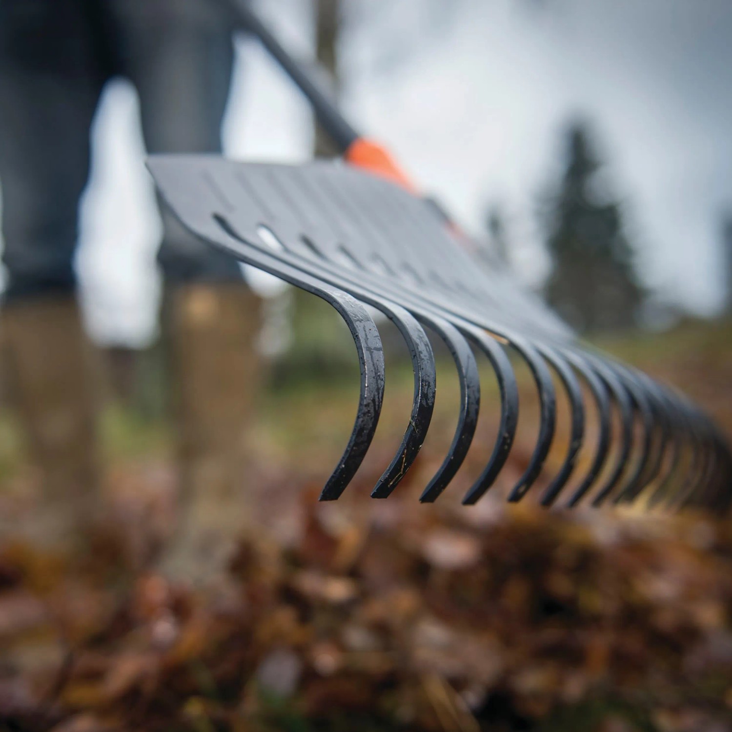 Fiskars Laubbesen Solid L im Einsatz: Breiter Rechen mit flexiblen Zinken zum Zusammenkehren von Laub.
