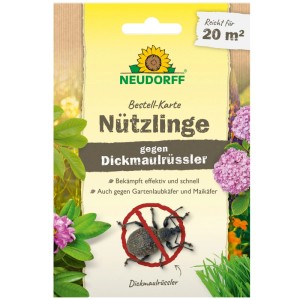 Neudorff Bestellkarte Nützlinge gegen Dickmaulrüssler für 20 m².